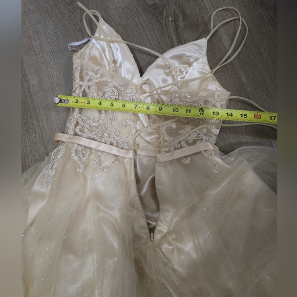 Chic Beige Embellished Gown - Picture 10 of 11